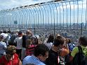 NY (297)
